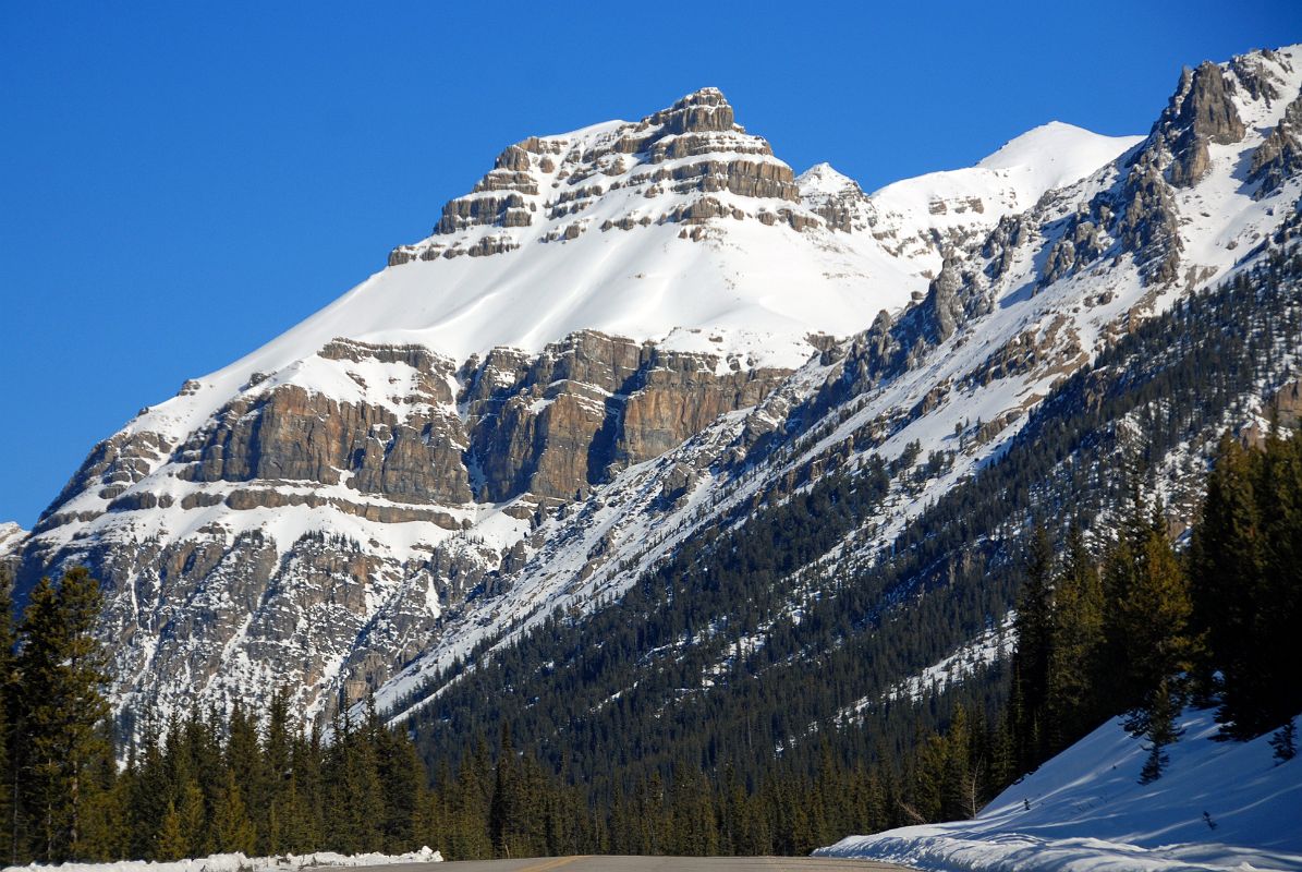 22 Noseeum Peak From Icefields Parkway